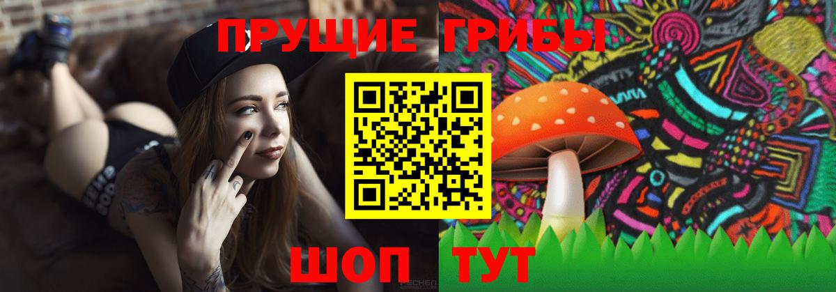 купить  цена  Псилоцибиновые грибы мухоморы  Галлюциногенные грибы Psilocybe  Вход с VPN  Шатура 